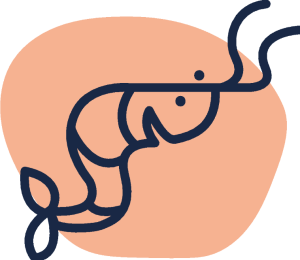 en-räka en-räka